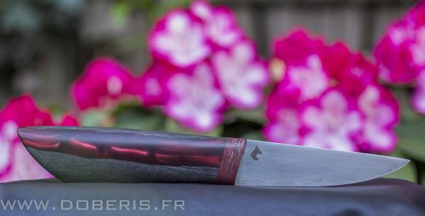 Chêne des tourbières et pierre synthétique